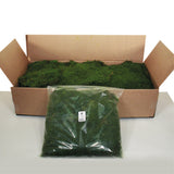 Vickerman Box Green Moss, Sheet 6.6 Lbs Bulk Case, Preserved