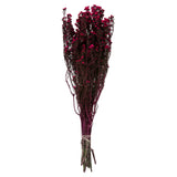 12-22 Raspberry Phylica Bundle 5Oz
