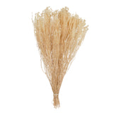 19X4 Staavia Bleached 3.5Oz Bunch