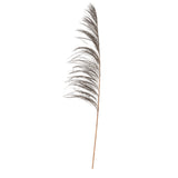 Vickerman 60-72 Mocha Uva Palm Spray Standing Between 60 To 72 Inches Tall. Pack Of 10.