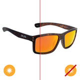 Solize Oh Aaron Brown to Dark Brown by DelSol for Men 1 Pc Sunglasses
