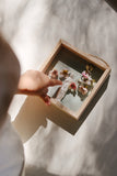 Marys Garden Kit (Blue Square)
