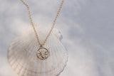 Star of The Sea Necklace on Paperclip
