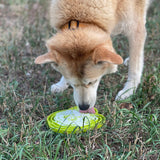 Water Frog eTray - Shallow Slow Feeder Dog Bowl for Enrichment | USA Made
