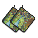 Caroline'S Treasures Peacock Pair Of Pot Holders Jmk1209Pthd, 7.5Hx7.5W, Multicolor