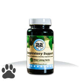 #22 Respiratory Support