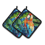 Caroline'S Treasures Yo Mama Parrot Pair Of Pot Holders Mw1204Pthd, 7.5Hx7.5W, Multicolor
