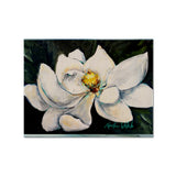Caroline'S Treasures Mw1234Plmt Sweet Magnolia Fabric Placemat, Multicolor