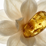 Magnolia & Amber Eau de Parfum