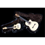 Acoustic Dreadnought Guitar Economy Hardshell Case - 15 Mm Velvet Padding - Black With Chrome Hardware