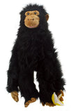 Primates: Chimp (Large)