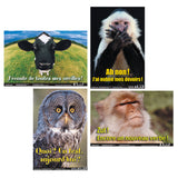 French Fun Photo Posters Set #5, 12 x 18, Set of 4