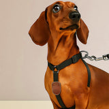 Brooch Pin Leather Case - AirTag