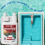 32 oz Pool Phosphate Remover - WHOLESALE ONLY