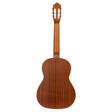 Family Series Pro Solid Top Nylon Classical Guitar With Bag