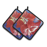 Caroline'S Treasures Flower - Amaryllis Pair Of Pot Holders Rdr2007Pthd, 7.5Hx7.5W, Multicolor