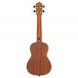 Bonfire Series Concert Ukulele