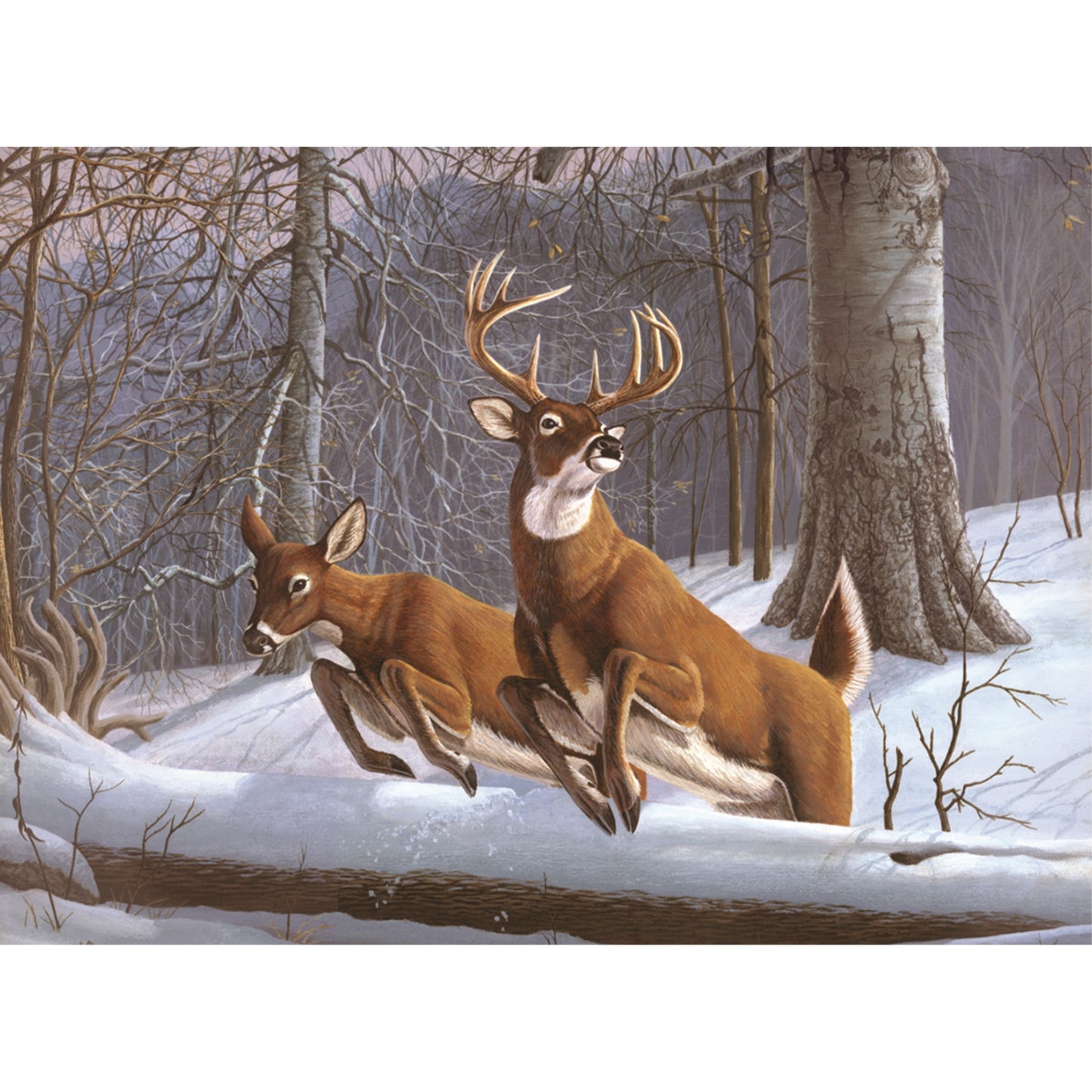 Adlt Lg Pbn-White Tails