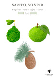 Baobab Collection Santo Sospir Candle