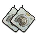 Caroline'S Treasures Shells Pair Of Pot Holders Sb3033Pthd, 7.5Hx7.5W, Multicolor