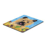 Caroline'S Treasures Mouse/Hot Pad/Trivet, Cairn Terrier (Sc9057Mp)