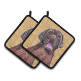 Caroline'S Treasures Labrador Wipe Your Paws Pair Of Pot Holders Sc9127Pthd, 7.5Hx7.5W, Multicolor