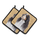 Caroline'S Treasures Springer Spaniel Wipe Your Paws Pair Of Pot Holders Sc9134Pthd, 7.5Hx7.5W, Multicolor