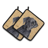 Caroline'S Treasures Labrador Wipe Your Paws Pair Of Pot Holders Sc9136Pthd, 7.5Hx7.5W, Multicolor