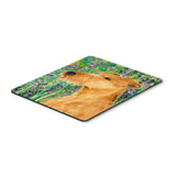 Caroline'S Treasures Mouse/Hot Pad/Trivet, Irish Terrier (Ss1004Mp)