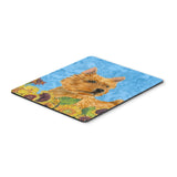 Caroline'S Treasures Mouse/Hot Pad/Trivet, Norwich Terrier (Ss4132Mp)