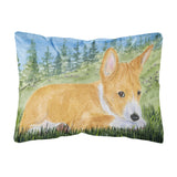 Caroline'S Treasures Ss8016Pw1216 Basenji Decorative Canvas Fabric Pillow, Large, Multicolor