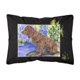 Caroline'S Treasures Ss8065Pw1216 Boykin Spaniel Decorative Canvas Fabric Pillow, Large, Multicolor