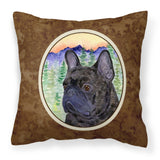 Caroline'S Treasures Ss8257Pw1414 French Bulldog Decorative Canvas Fabric Pillow, Large, Multicolor