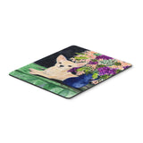 Caroline'S Treasures Mouse/Hot Pad/Trivet, Chihuahua (Ss8289Mp)