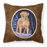 Caroline'S Treasures Ss8355Pw1414 Starry Night Chesapeake Bay Retriever Fabric Pillow, Large, Multicolor