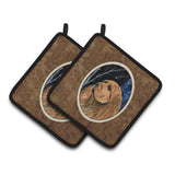 Caroline'S Treasures Starry Night Sussex Spaniel Pair Of Pot Holders Ss8391Pthd, 7.5Hx7.5W, Multicolor