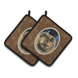Caroline'S Treasures Starry Night Cat - Persian Pair Of Pot Holders Ss8408Pthd, 7.5Hx7.5W, Multicolor