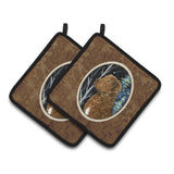 Caroline'S Treasures Starry Night Chesapeake Bay Retriever Pair Of Pot Holders Ss8411Pthd, 7.5Hx7.5W, Multicolor