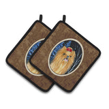 Caroline'S Treasures Starry Night Yorkie Pair Of Pot Holders Ss8413Pthd, 7.5Hx7.5W, Multicolor