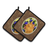 Caroline'S Treasures Norwich Terrier Pair Of Pot Holders Ss8421Pthd, 7.5Hx7.5W, Multicolor