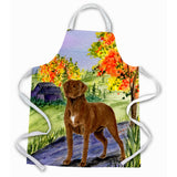 Caroline'S Treasures Ss8427Apron Chesapeake Bay Retriever Apron, Large, Multicolor