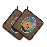 Caroline'S Treasures Norwich Terrier Pair Of Pot Holders Ss8431Pthd, 7.5Hx7.5W, Multicolor
