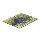 Caroline'S Treasures Mouse/Hot Pad/Trivet, Pomeranian (Ss8444Mp)