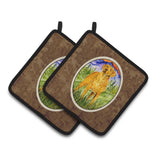 Caroline'S Treasures Chesapeake Bay Retriever Pair Of Pot Holders Ss8449Pthd, 7.5Hx7.5W, Multicolor