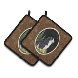 Caroline'S Treasures Starry Night Bernese Mountain Dog Pair Of Pot Holders Ss8468Pthd, 7.5Hx7.5W, Multicolor