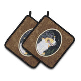 Caroline'S Treasures Starry Night Bernese Mountain Dog Pair Of Pot Holders Ss8512Pthd, 7.5Hx7.5W, Multicolor
