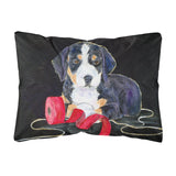 Caroline'S Treasures Ss8566Pw1216 Entlebucher Mountain Dog Decorative Canvas Fabric Pillow, Large, Multicolor