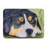 Caroline'S Treasures Entlebucher Mountain Dog Floor Mat, 19 X 27, Multicolor