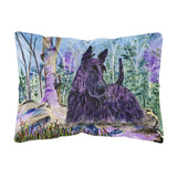 Caroline'S Treasures Ss8666Pw1216 Scottish Terrier Decorative Canvas Fabric Pillow, Large, Multicolor