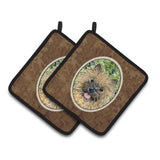 Caroline'S Treasures Cairn Terrier Pair Of Pot Holders Ss8799Pthd, 7.5Hx7.5W, Multicolor